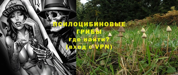 дурь Алексеевка