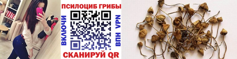 Псилоцибиновые грибы мухоморы  blacksprut маркетплейс  Лагань 