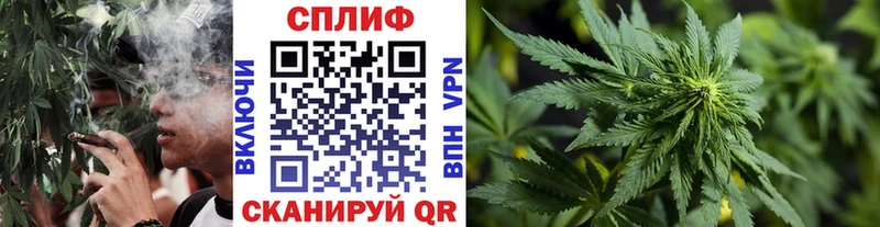 hydra как зайти  Лагань  Бошки марихуана семена 